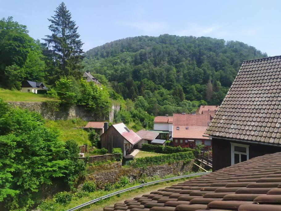 Haus Am Wald Zorge 16+ Gaeste Walkenried Exteriér fotografie