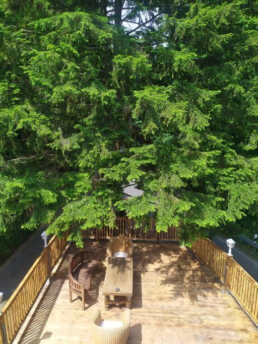 Haus Am Wald Zorge 16+ Gaeste Walkenried Exteriér fotografie