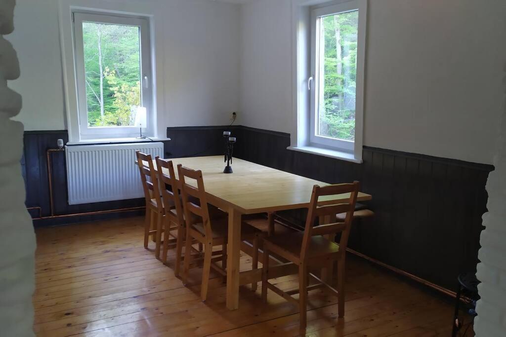 Haus Am Wald Zorge 16+ Gaeste Walkenried Exteriér fotografie