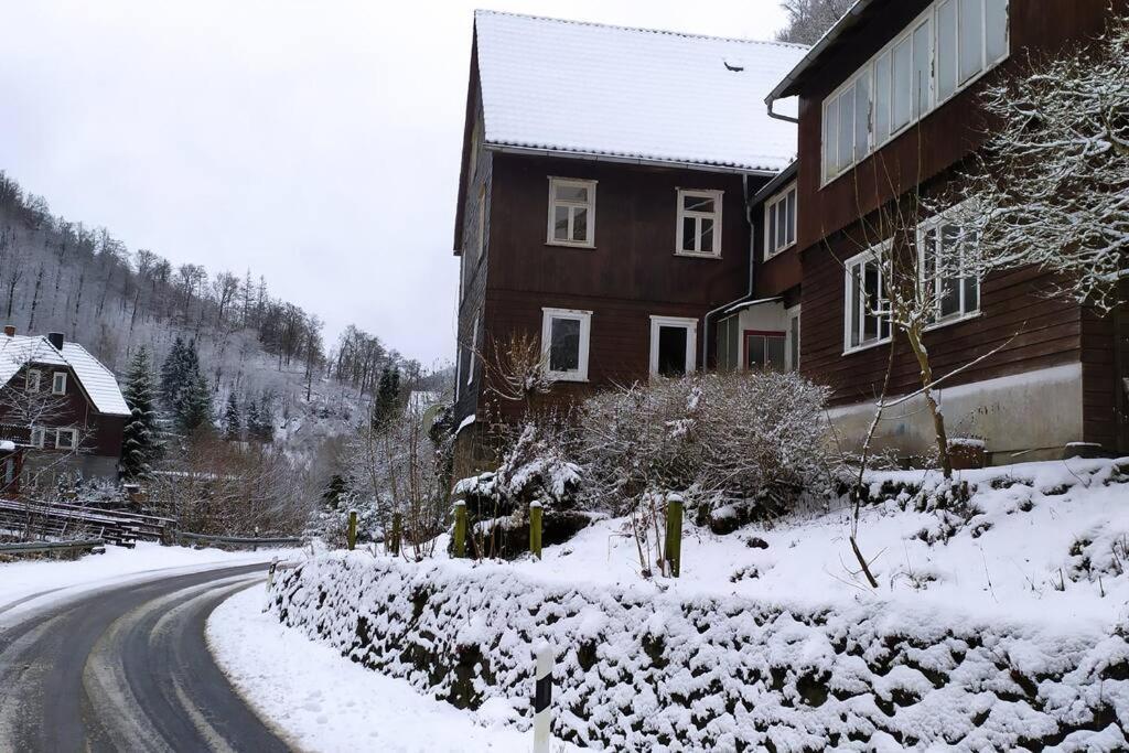 Haus Am Wald Zorge 16+ Gaeste Walkenried Exteriér fotografie