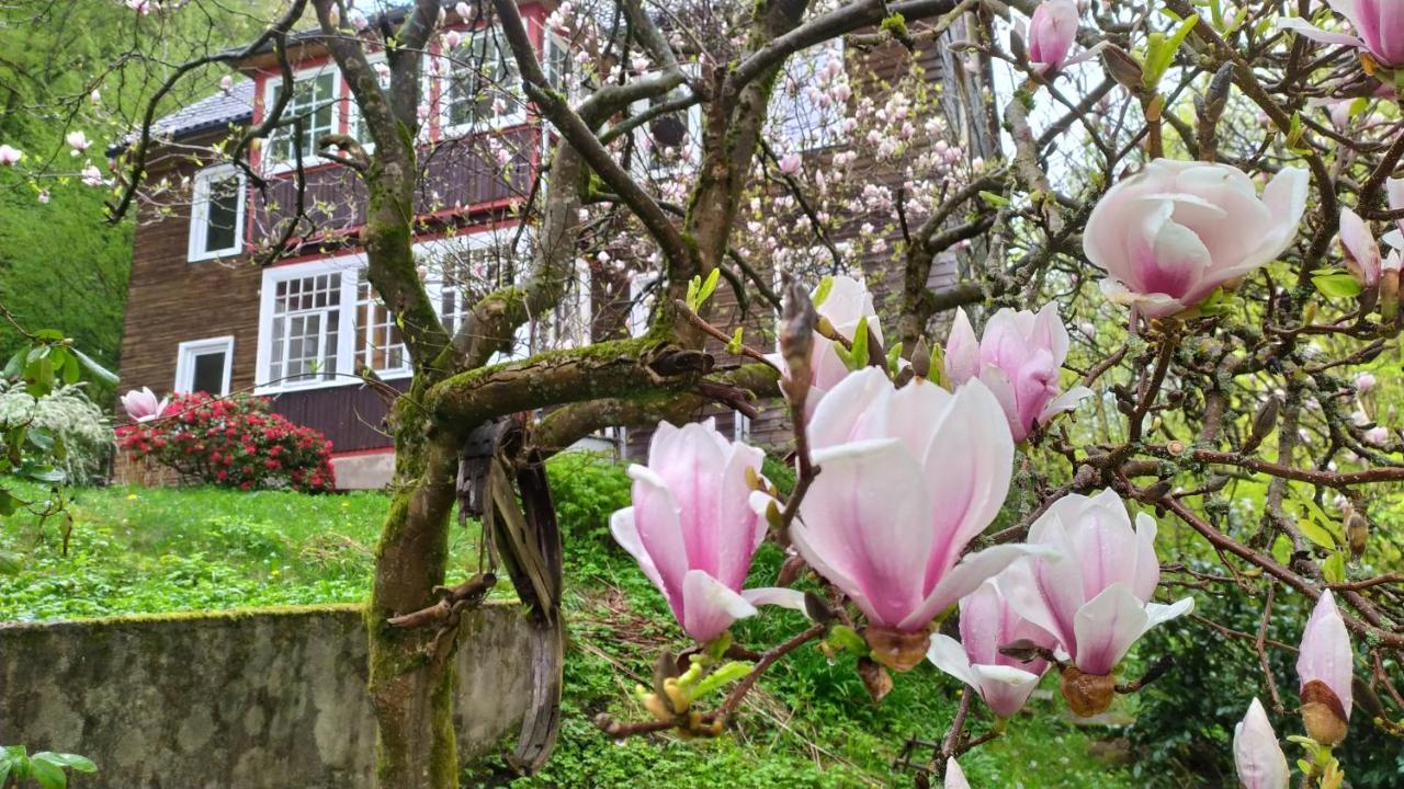 Haus Am Wald Zorge 16+ Gaeste Walkenried Exteriér fotografie